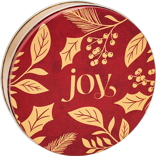 1S JOY (New for 2024!)